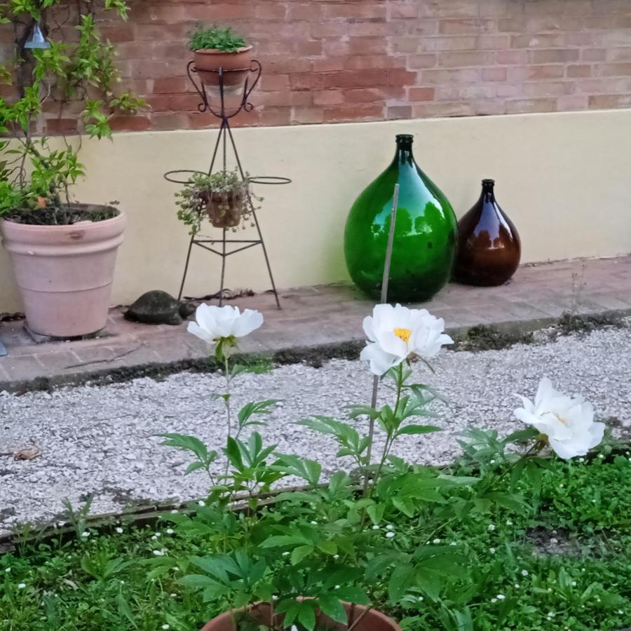 B&B Marana 14 Casa di Campagna Bologna Bagian luar foto